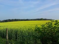 A Beautiful Day in Shropshire